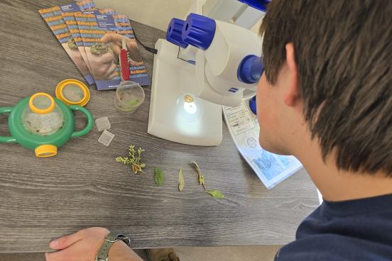 Student looking in microscope