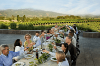 People dining at a long table overlooking a vineyard at a winery