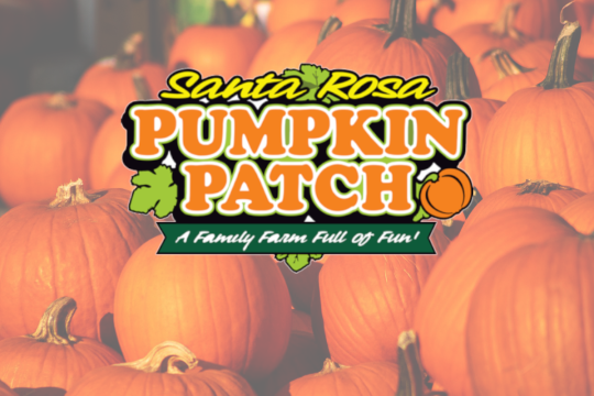 Santa rosa pumpkin patch