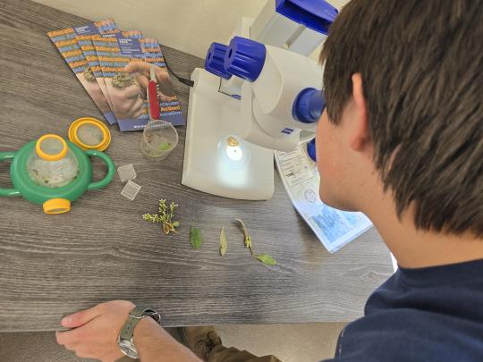 Student looking in microscope