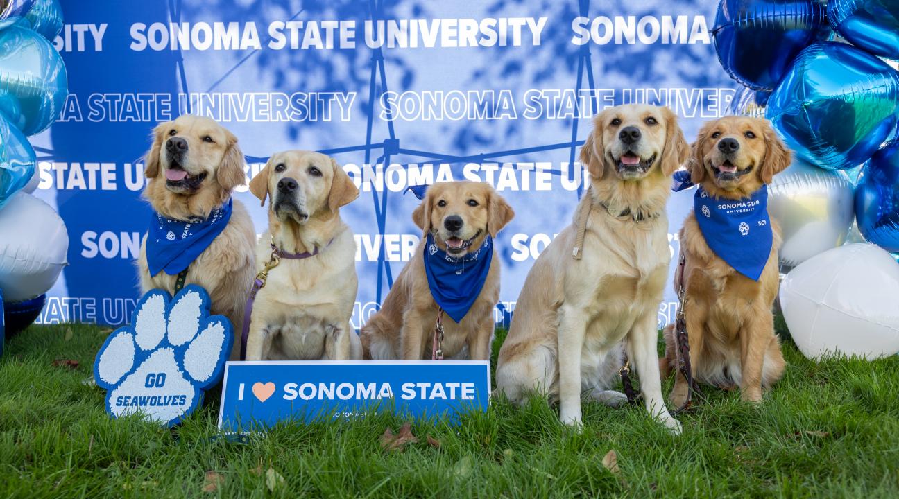 Dogs sitting with SSU spirit wear including I heart SSU sign and SSU paws