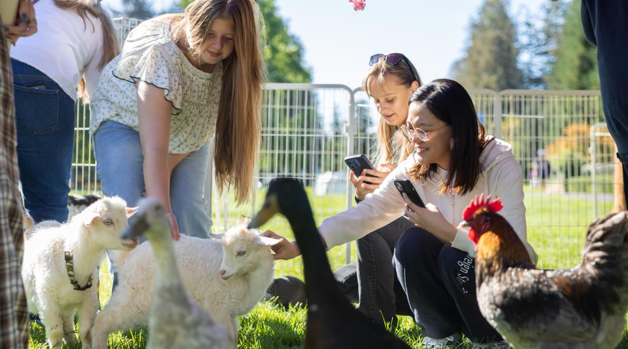 Petting Zoo