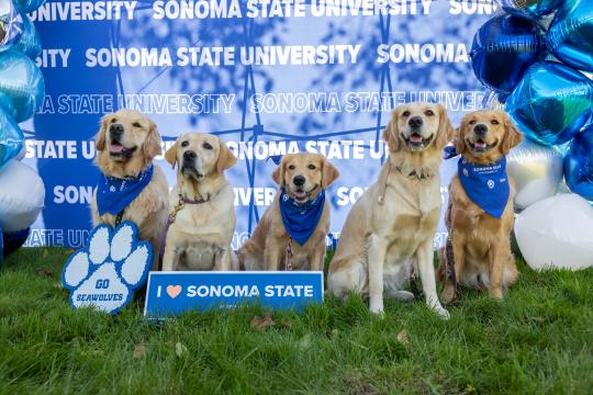 Dogs sitting with SSU spirit wear including I heart SSU sign and SSU paws