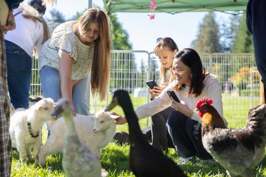 Petting Zoo