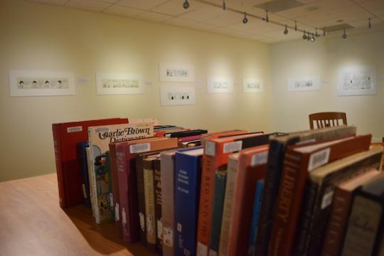 Books on shelf